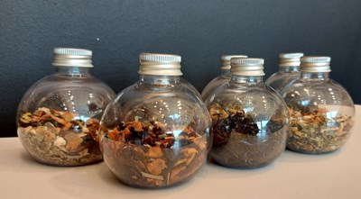 306869843_1239892303427836_3556213800094522816_n